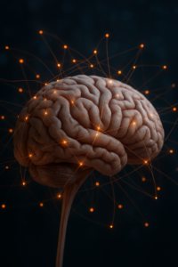 entrenamiento-autogeno-cerebro